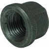 Picture of Pipe-Cap 1.500"