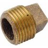 Picture of Pipe-plug Cored 1/2"