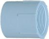 Picture of PVC-Plumbing Schedule-40 Female-Adapter S x FPT 3/4"