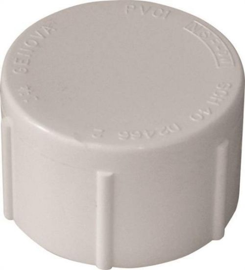 Picture of PVC-Plumbing Schedule-40 Cap FIP 3/4"