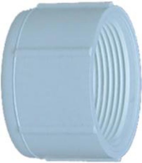 Picture of PVC-Plumbing Schedule-40 Cap FIP 1-1/4"