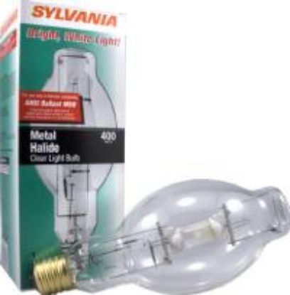 Picture of Clear Bulb