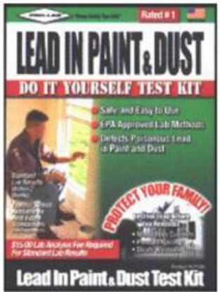 Picture of Pro Paint/Dust Lead Kit