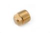 Picture of Pipe-Plug Cored-Plug 1/8"