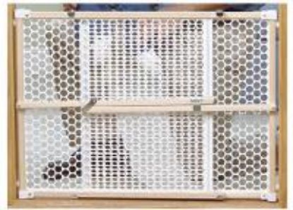 Picture of Security Gate Wood 27-42"