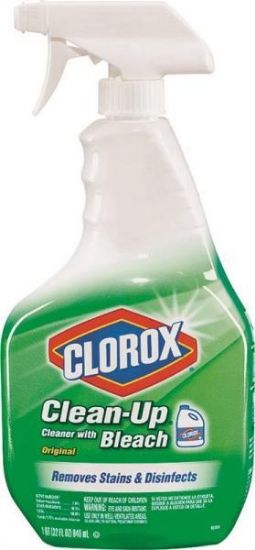 Picture of Clean-Up With Bleach