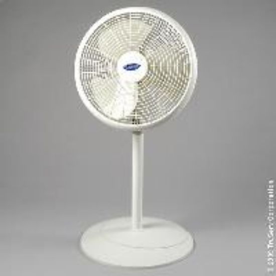 Picture of pedestal 16" 3-Speed Oscillating-Motion Fan