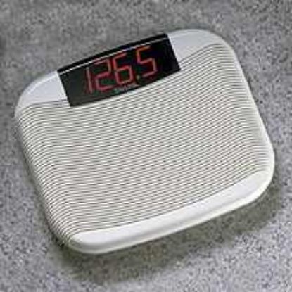 Picture of LargeBathscale