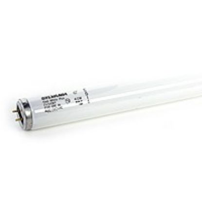 Picture of Light-Bulb Fluorescent-bulb Tube T-12 4100-k Rapid-start