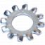 Picture of Lock-washer Zinc-plated External-tooth #12