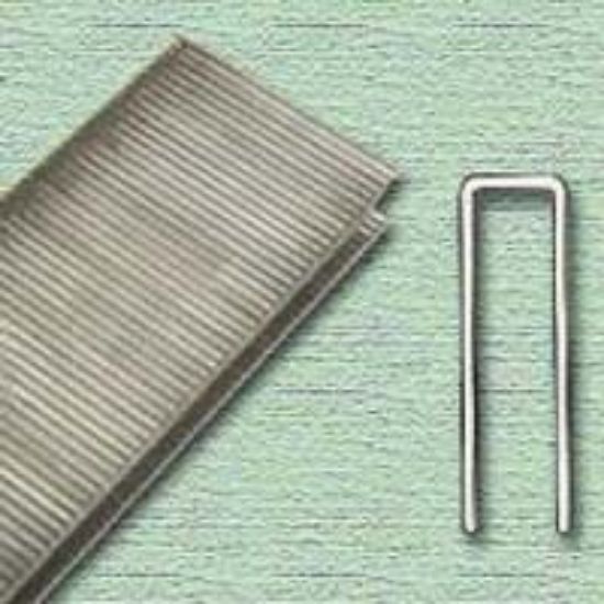 Picture of Finish Staple Bx5m
