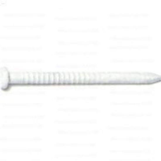Picture of Panel-nail White #1-5/8"