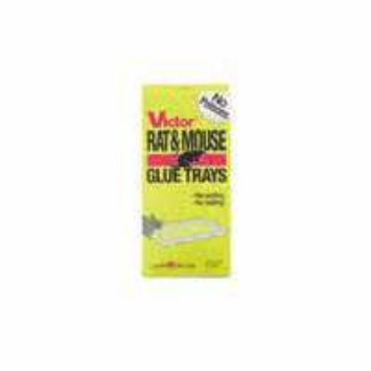 Picture of Mouse-Trap Glue-Trap Rat