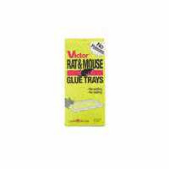 Picture of Mouse-Trap Glue-Trap Rat