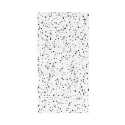 Picture of Ceiling-Tile Radar Acoustic 2' x 4' x 5/8"