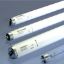 Picture of 2229 F2T12 GRO/LUX/AQUA Fluorescent