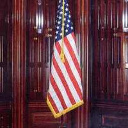 Picture of 2.5' X 4' Hemmed Flag
