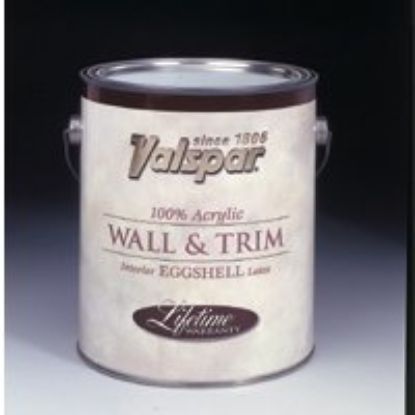 Picture of 44 GA Latex-Paint EGG WHITE