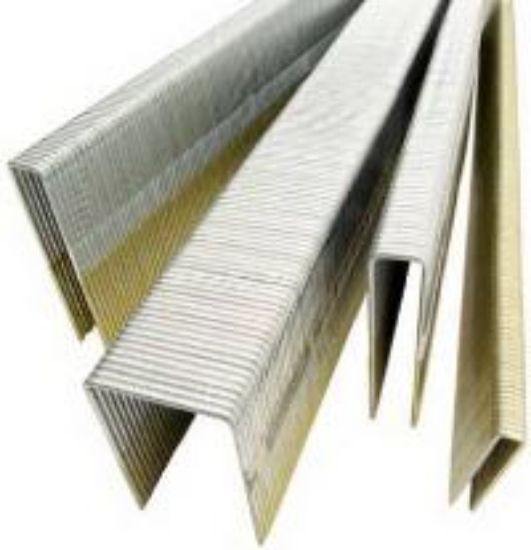 Picture of 1 PK 2" Galvanized Steel Staple