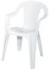Picture of White Low Back Lawn-Chair Stackable