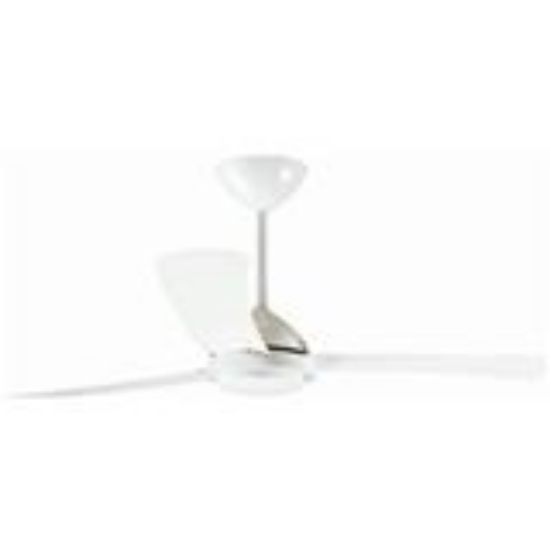 Picture of Osprey Ceiling-Fan