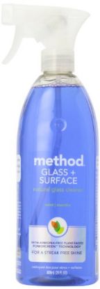 Picture of Mint Window Wash Cleaner