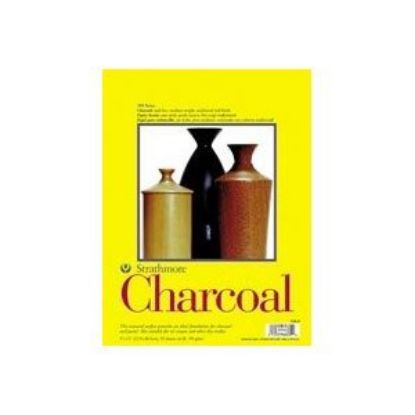 Picture of 300 Charcoal Pads