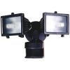 Picture of Security Flood-Light Twin-Head Photo & Motion-Sensor Bronze