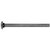 Picture of Carriage-Bolt Zinc-Plate 5/16"-18 x 5"