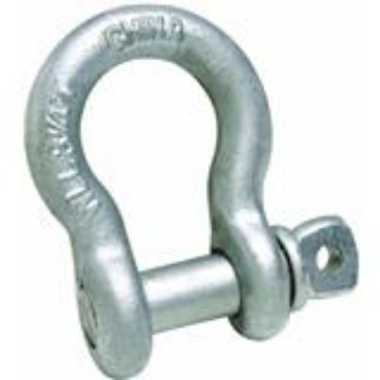 Picture of Anchor-shackle Forged-steel Galvanized Steel 3/4"