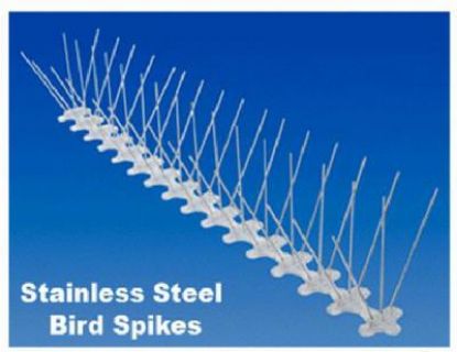 Picture of Bird Spikes 5" x 6'