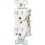 Picture of Electrical-Outlet Commercial Duplex-Receptacle 20-Amp White Tamper-Resistant Weather-Resistant