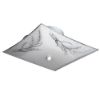 Picture of 2-Bulb 12" Square Ceiling-Fixture