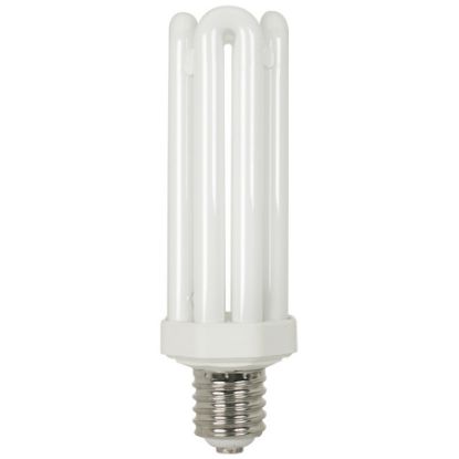 Picture of Light-Bulb