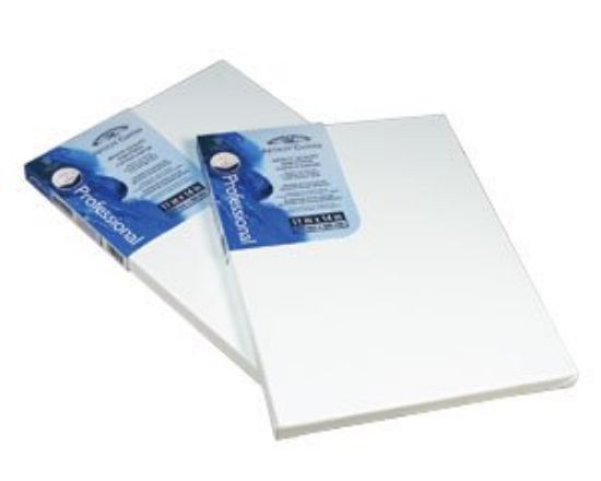 Picture of Winsor Universal Stretched Canvas 8" x 10"