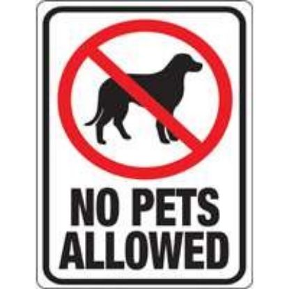 Picture of 9" x 12" Plastic No Pets Allowed