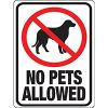 Picture of 9" x 12" Plastic No Pets Allowed