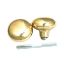 Picture of Steel Door-Knob Set w/ Door-Spindle Brass-Plated For Interior Mortise Locks