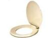 Picture of Toilet-Seat Plastic-material Bone