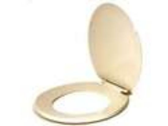 Picture of Toilet-Seat Plastic-material Bone