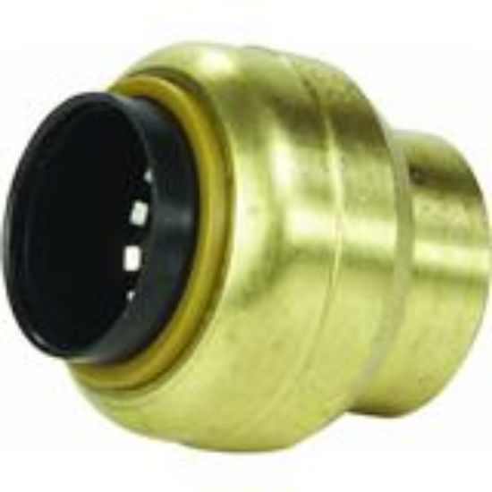 Picture of ™Sharkbite™ End Stop 1/2" Material