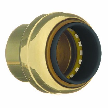Picture of 1" Push-on Tube-cap