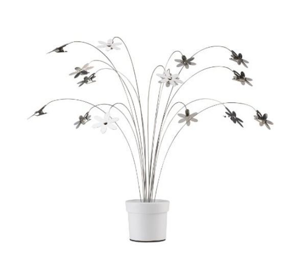 Picture of Petal Photo Display