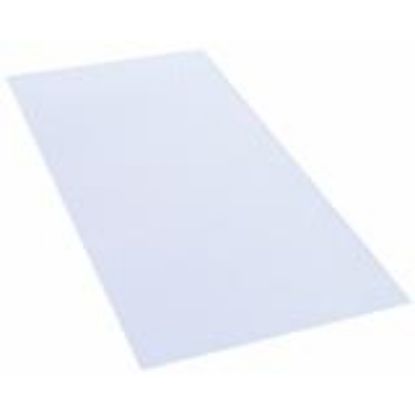 Picture of Prismatic Clear Lens 2' X 4'