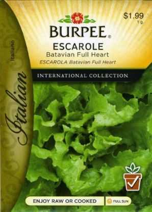 Picture of Escarole Batavian Full Heart Italian