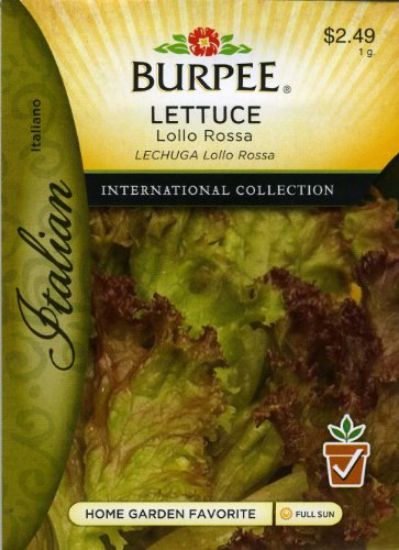 Picture of Lettuce-Seed Lolla Rossa Italian