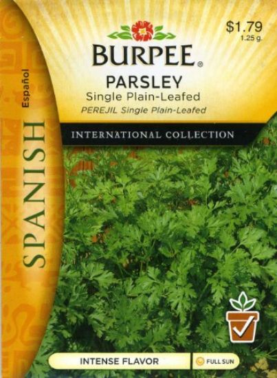 Picture of Plain Leaf Parsley Spanish