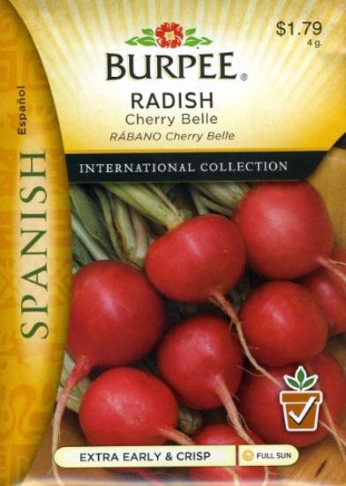 Picture of Radish Cherry Belle Spanish