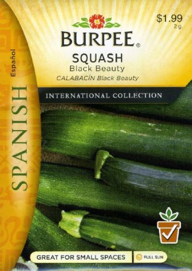 Picture of Squash Black Beauty Spanish