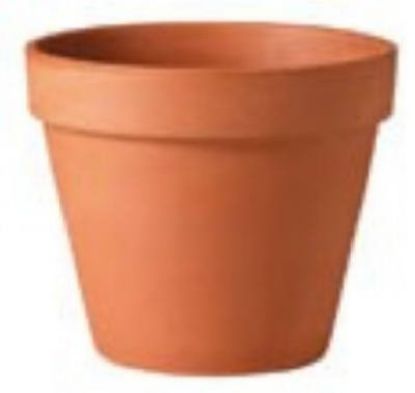 Picture of Plant-Pot Terra-cotta 2.8"